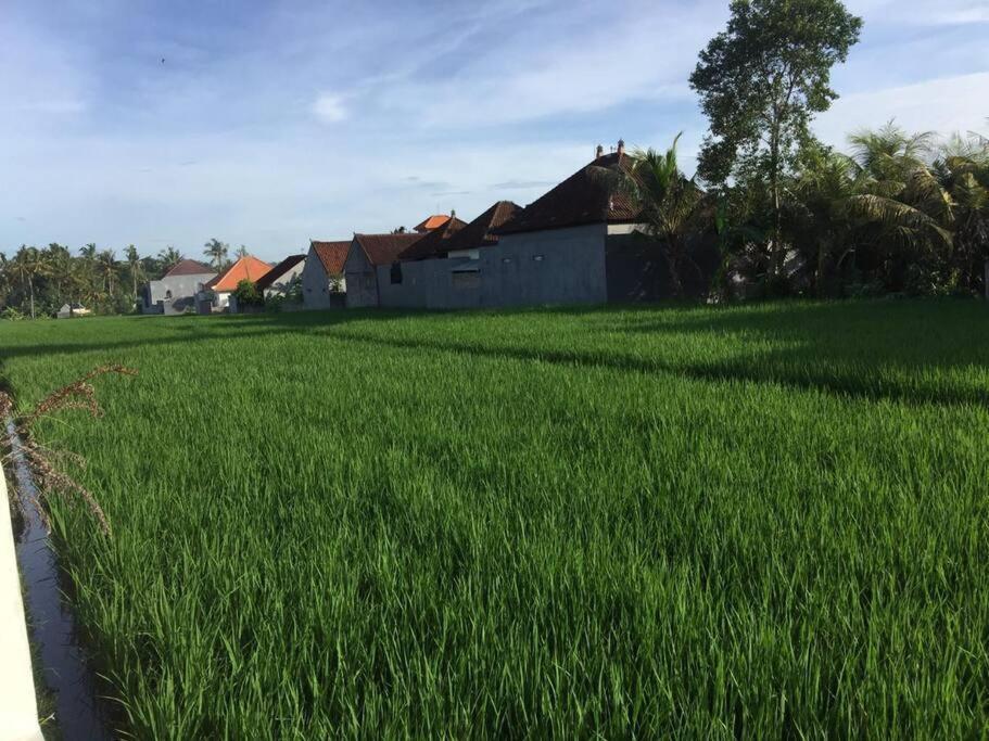 The Backyard House Hotel Tabanan  Exterior photo